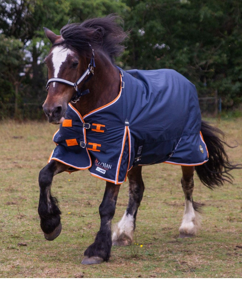 Trojan 600D 100g Duraproof 5-point Turnout rug