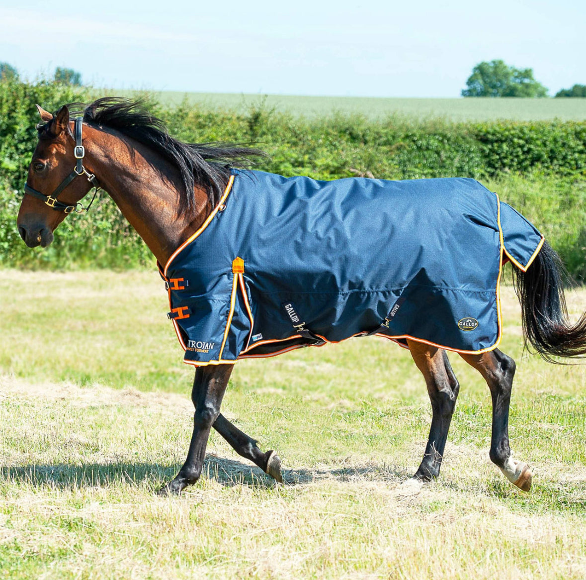 Trojan 600D 200g Duraproof 5-point Turnout rug (Copy)