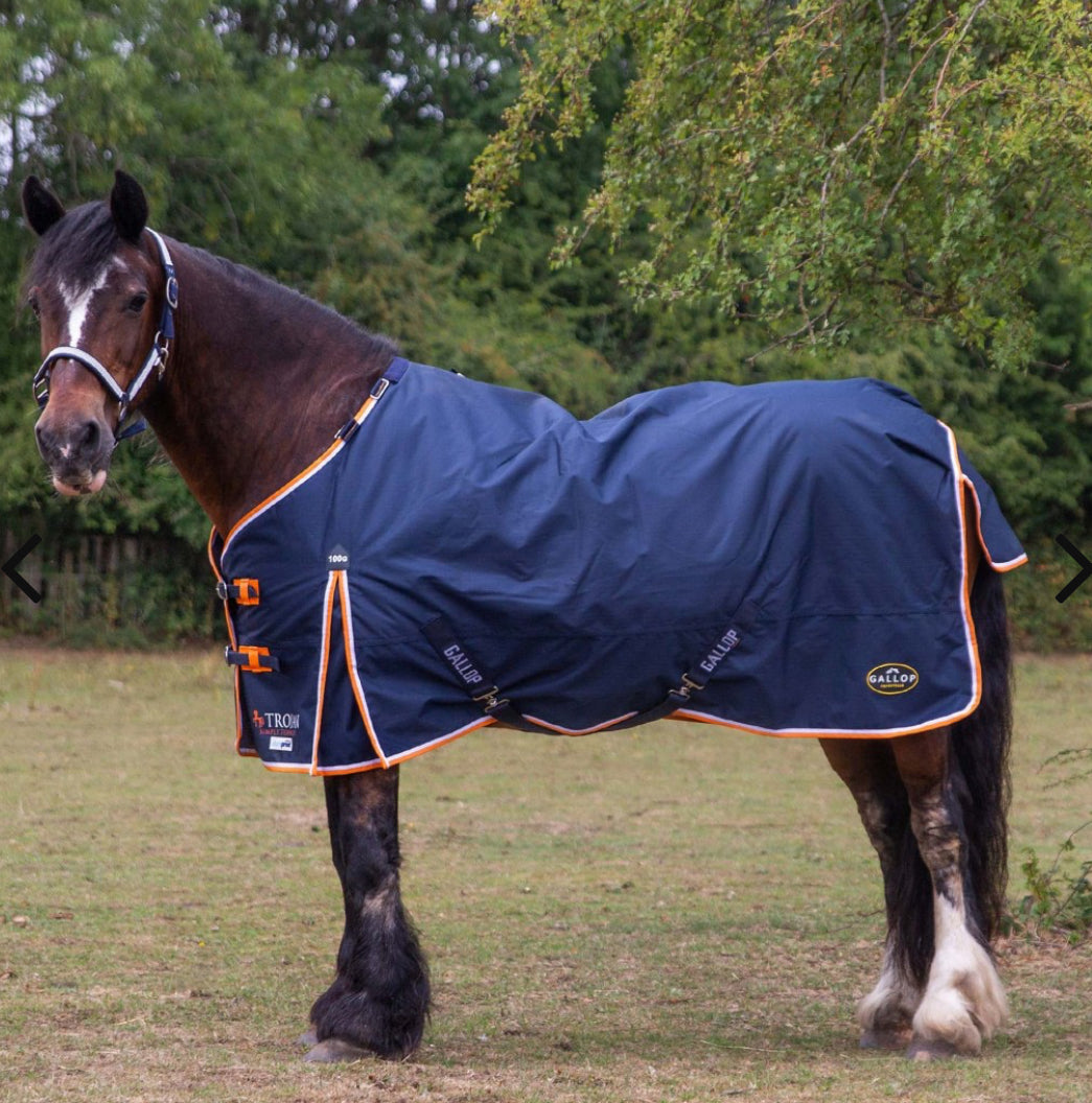 Trojan 600D 100g Duraproof 5-point Turnout rug